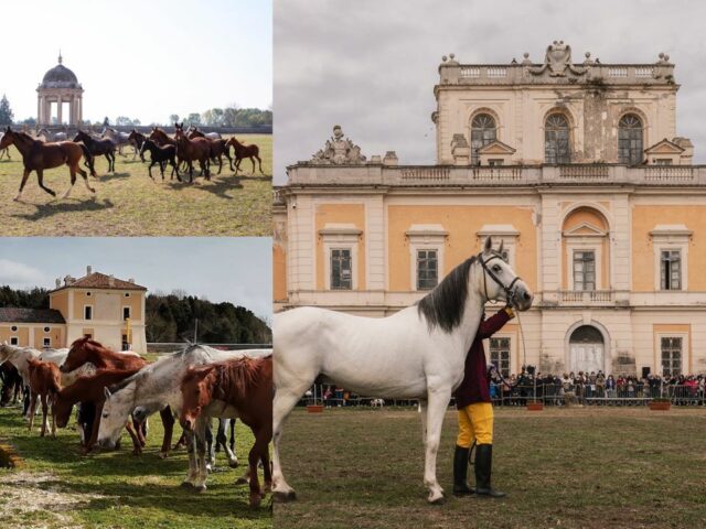 restauro real sito di carditello