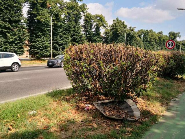 Taglio erba città di Caserta