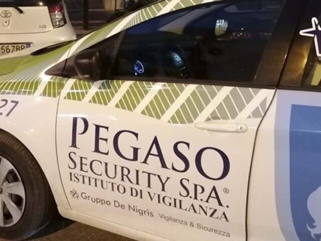 Pegaso Security