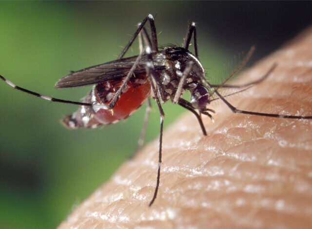 West Nile