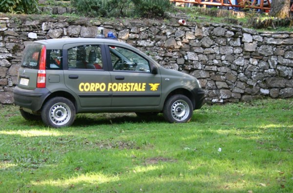 concorso forestali carabinieri