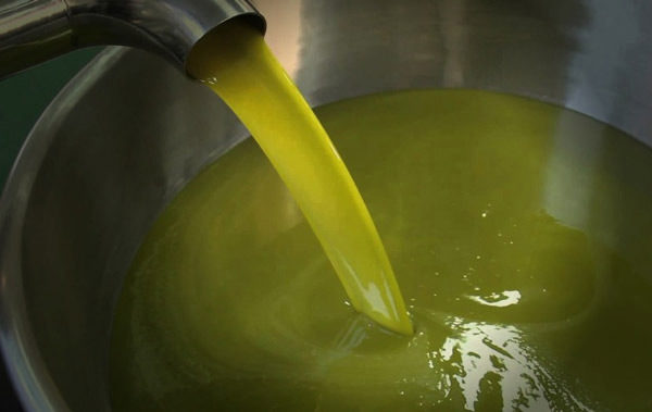 prezzo olio d'oliva
