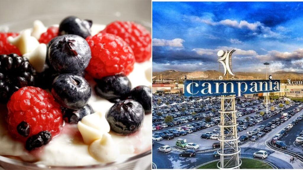 yougurteria campania