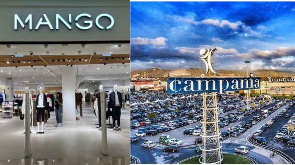 mango campania