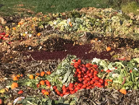 Prodotti alimentari venduti nel Casertano a ridosso di miasmi e topi, blitz del Noe. LE FOTO
