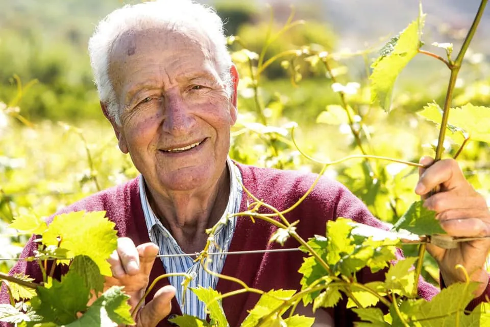 Addio leggenda del vino: è morto Michele Moio