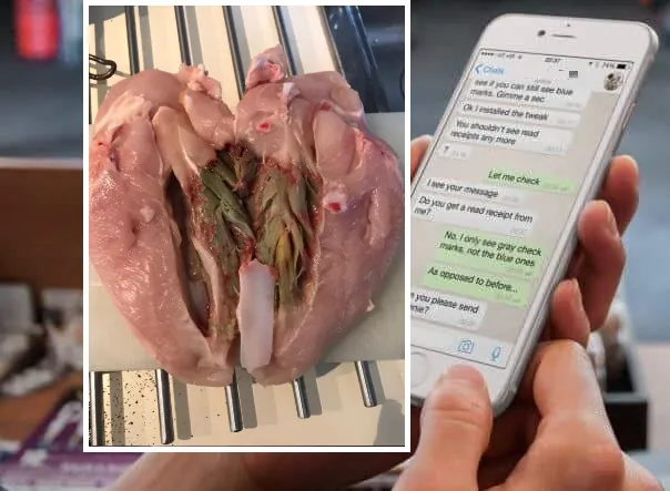 L’ultima psicosi in chat: “Questo pollo ha la miopatia di Oregon”