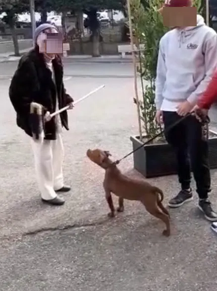 “Mi mancano i soldi a casa”: e scende in piazza col bastone contro i ragazzi. IL VIDEO