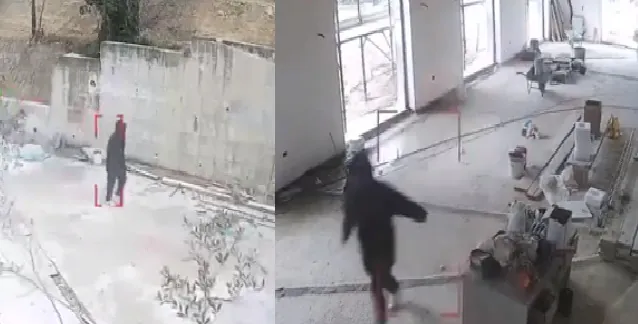 Sbuca dal terreno vicino e fa irruzione nel cantiere. IL VIDEO