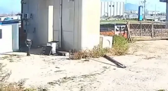 Irruzione nel cantiere, poi la fuga dalla zona dello shopping. IL VIDEO