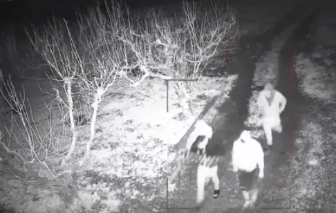 Assaltano villetta invadendo terreno del vicino, 4 banditi in fuga. IL VIDEO