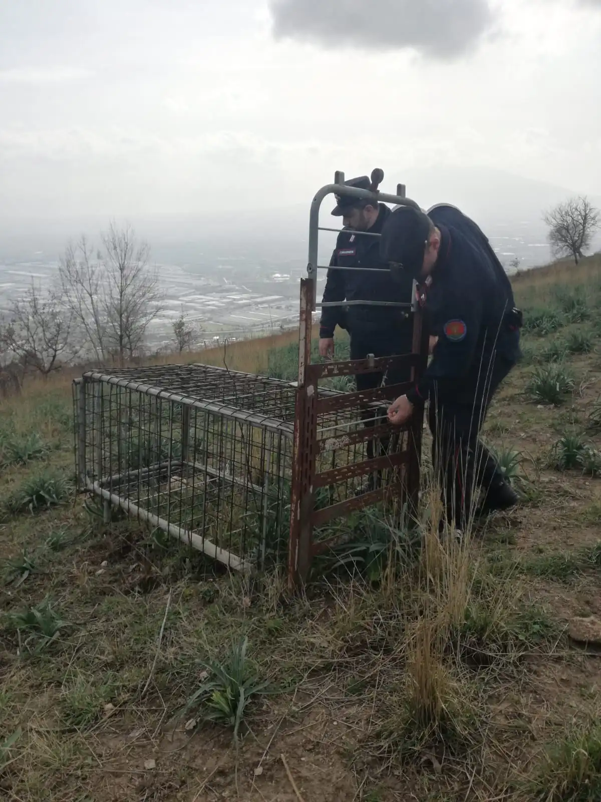 Blitz dei militari a San Felice, scoperta trappola atroce. LE FOTO