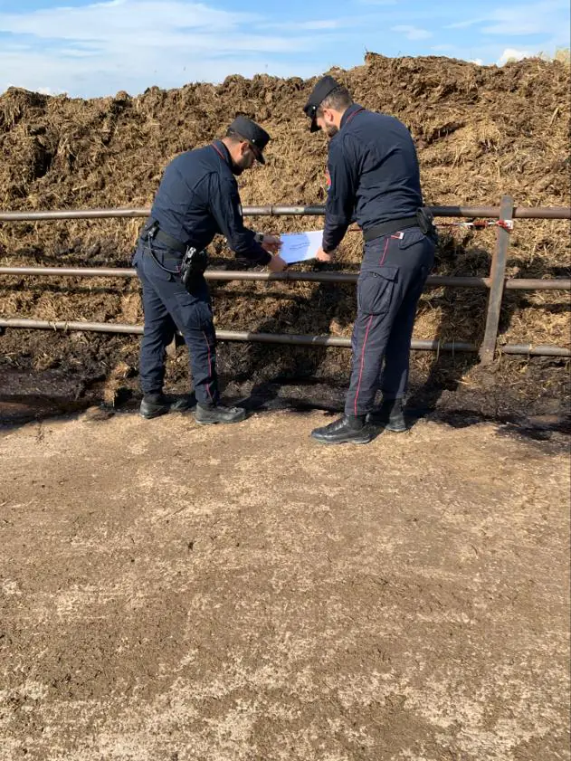 Lago abusivo per smaltire liquami, stop ad allevamento bufalino. FOTO