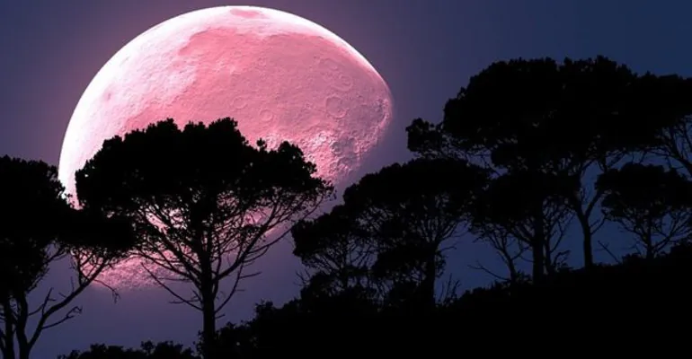 Show nei cieli questa sera e domani.”Super Luna rosa più bella del 2020″