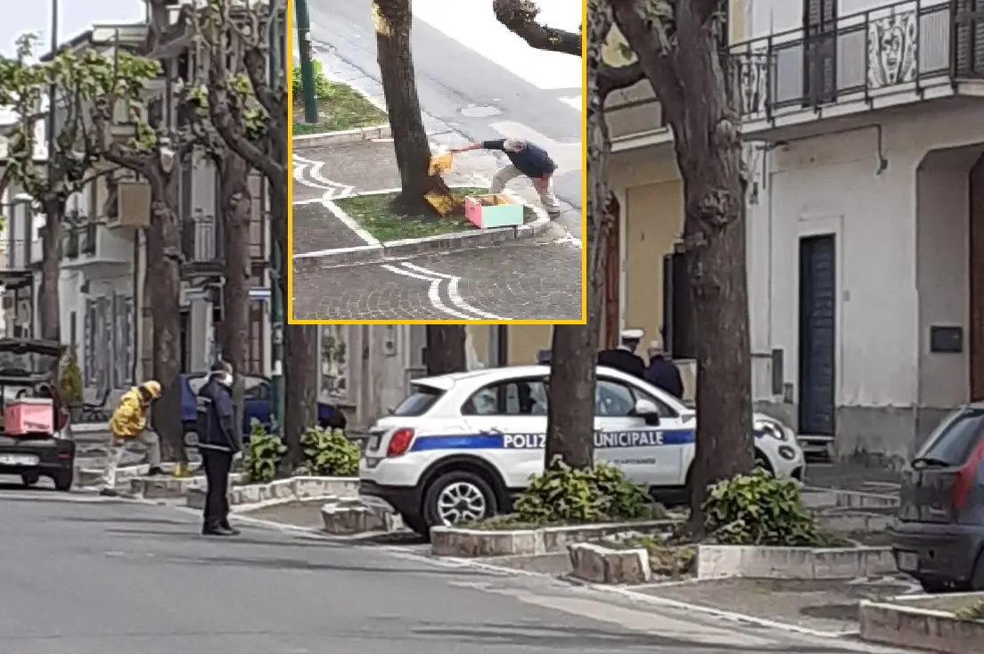 Sciame di api invade quartiere, arrivano vigili urbani. FOTO E VIDEO DELL’INTERVENTO
