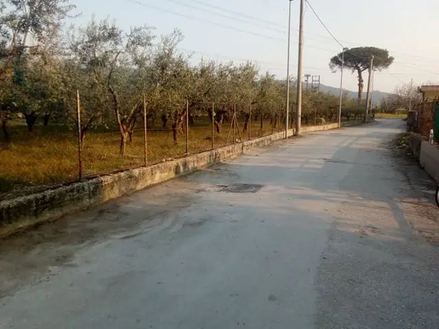 Periferie ignorate dal Comune: i cittadini puliscono e disinfettano con mezzi propri