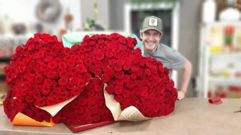 Fa arrivare 500 rose rosse all’amata: il romantico del giorno è un casertano