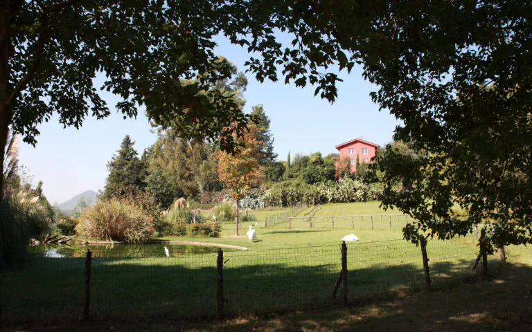 Apre il parco faunistico e botanico di Giardini del Volturno