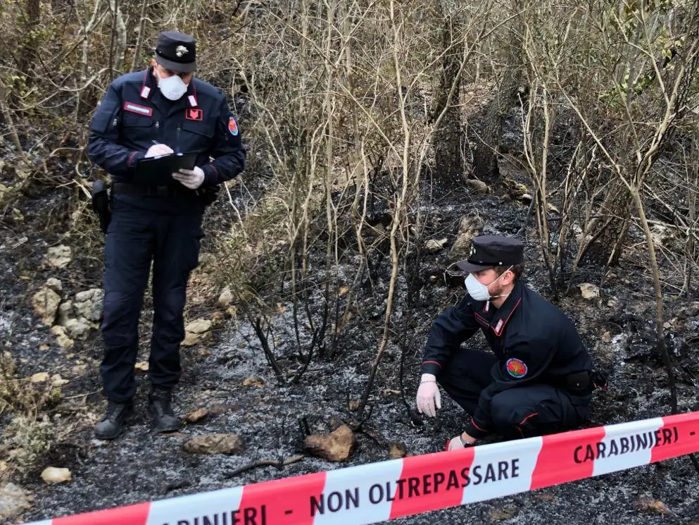 Allevatore dà fuoco alle colline ma viene scoperto: “Marescià, non mi inguaiate. Devo campare”. FOTO