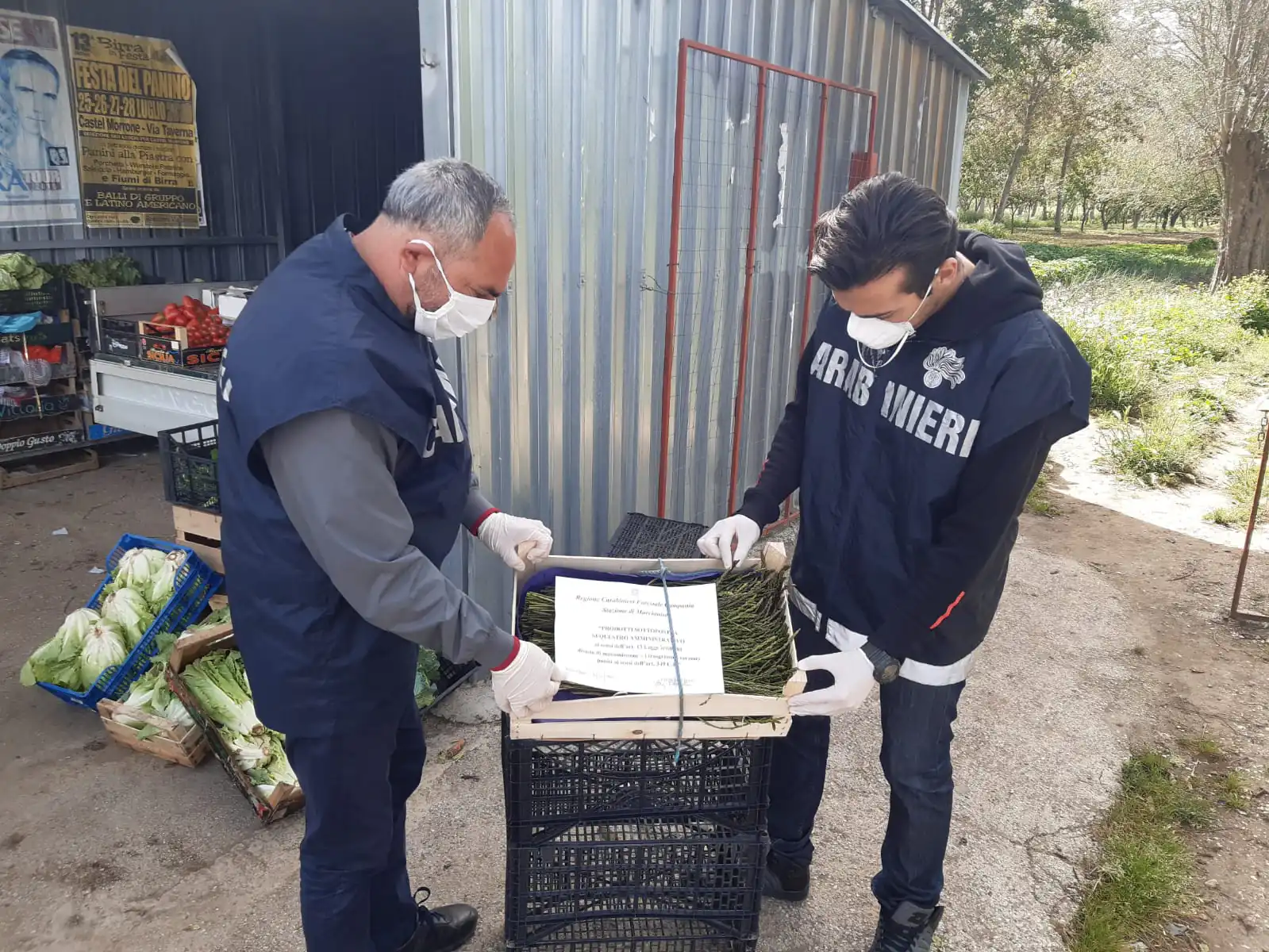 Vendono asparagi selvatici, si ritrovano addosso i carabinieri: venditori nei guai. FOTO
