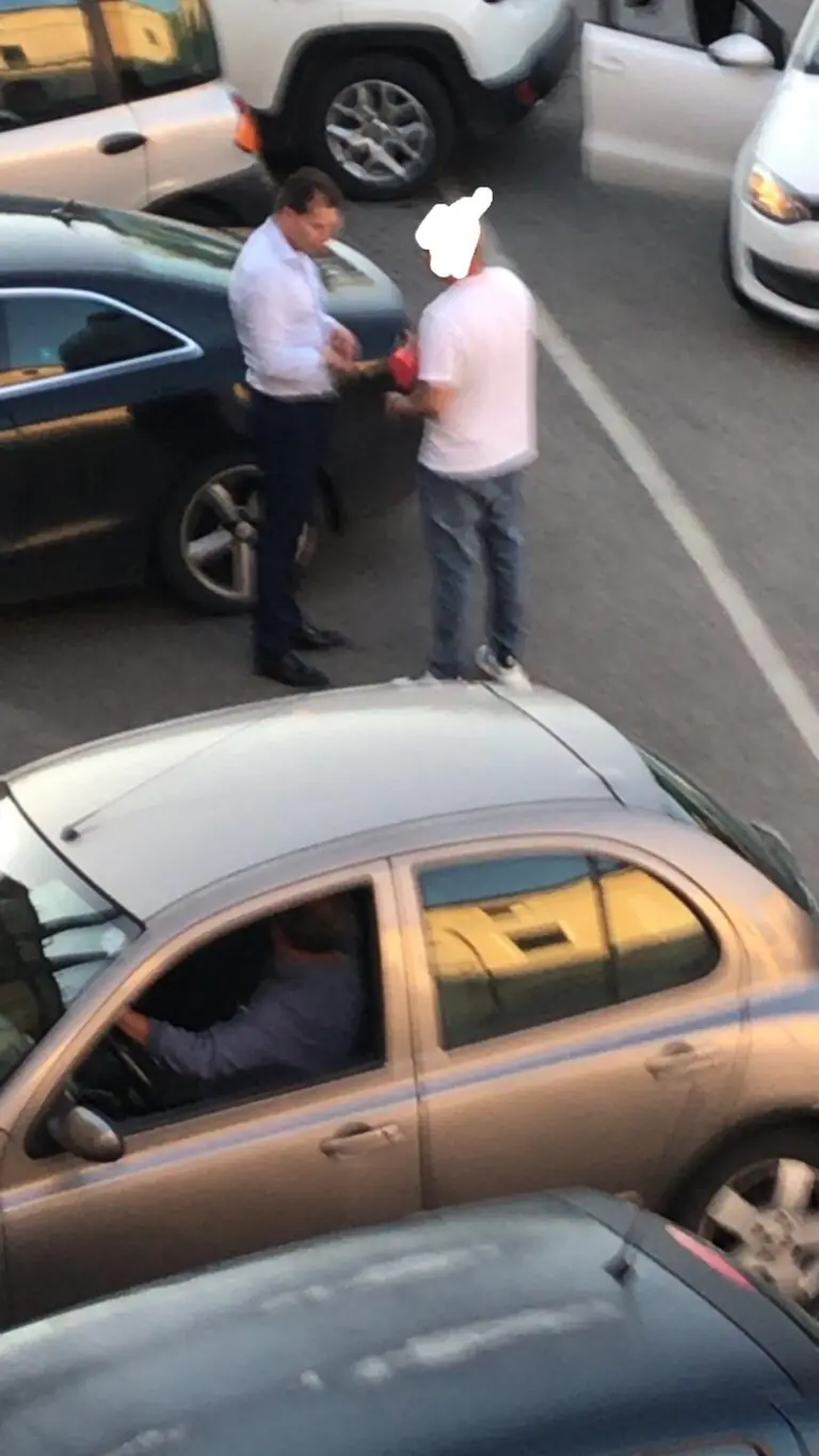 Zecche in una zona di San Felice: ci pensa Ferrara