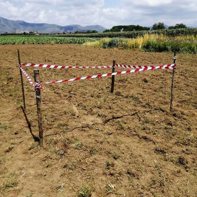 Trovata bomba in un terreno agricolo, artificieri sul posto. FOTO