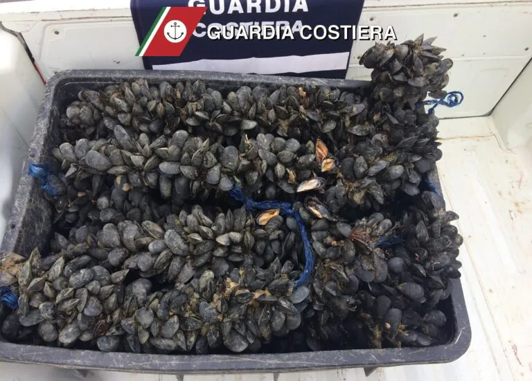 Porta via 120 chili di cozze dal porto, pescatore si becca una multa da record