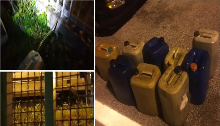 Polizia si nasconde sull’A30 e arresta l’incubo dei camionisti. GUARDA IL VIDEO DEL BLITZ