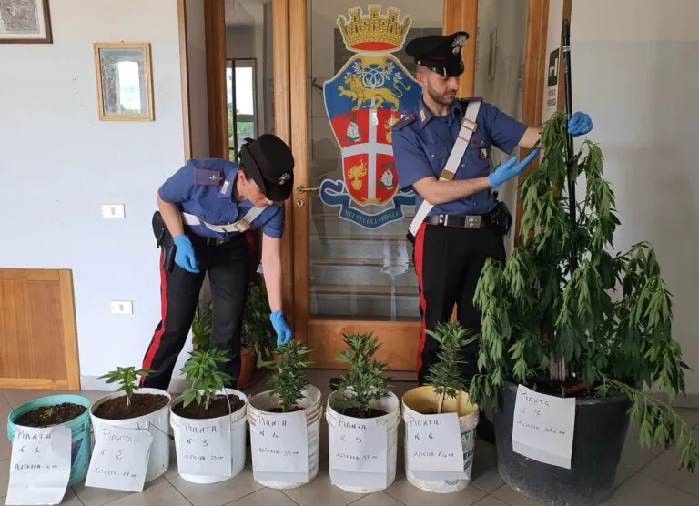 Pollice verde speciale: nel suo giardino coltiva pure 7 piante di cannabis. FOTO