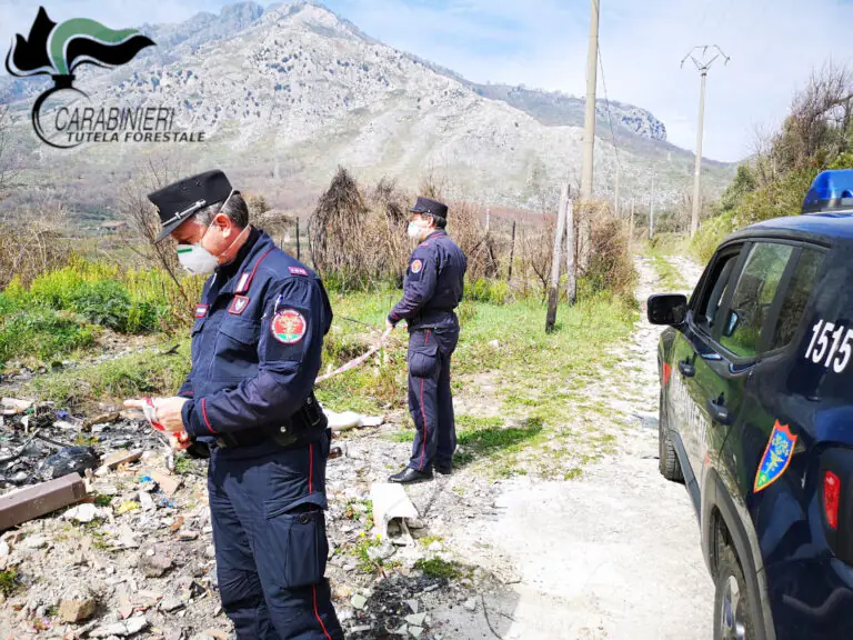 Vanno a funghi e castagne nei campi degli agricoltori, 25 beccati dai militari