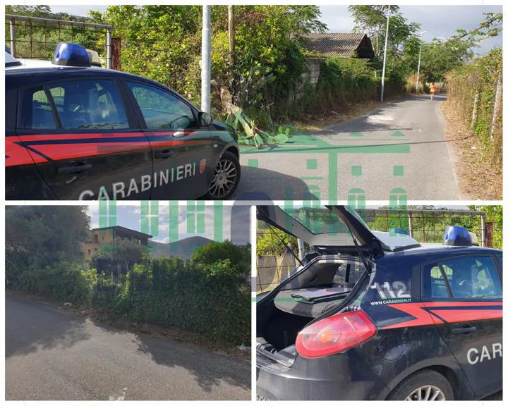 Raid nel terreno di un dipendente del Comune di Caserta: acciuffato il ladro