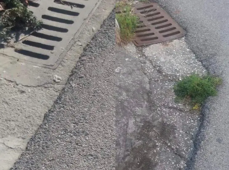 Ratti e cattivi odori provenienti dalle caditoie, minoranza a Cesa chiede  interventi urgenti