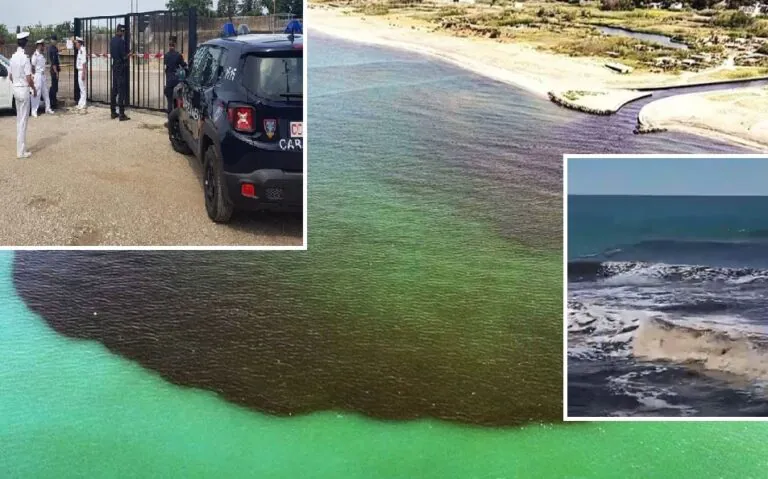 Feci umane nel canale: il mare nero era un mare di m…. GUARDA IL VIDEO