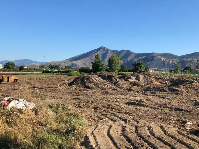Terreno abbandonato ridotto a discarica: pulizia in corso
