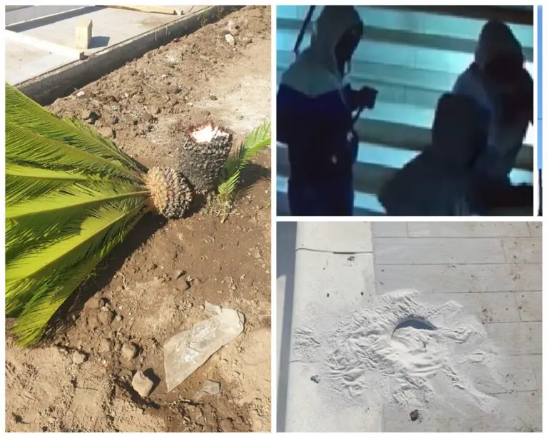 Raid nella notte: picconate e martellate su villa e piscina di nota imprenditrice. LE FOTO