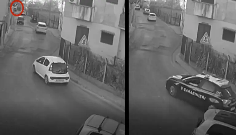 IL VIDEO CHOC. Cavallo scappa e centra auto in corsa, carabinieri rischiano grosso