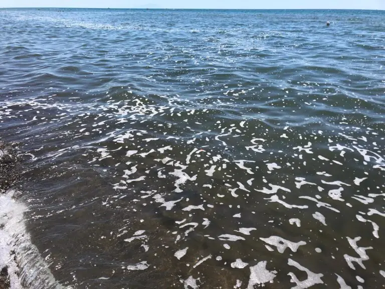 Allerta a Baia Domizia, tuffo nella schiuma bianca. Foto e video
