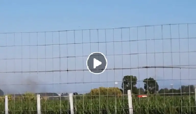 IL VIDEO. Ecco l’incendio che sta facendo piovere cenere su due città
