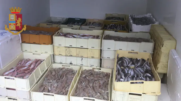 Scoperta maxi truffa sul pesce congelato nel Casertano: recuperata merce per 200mila euro