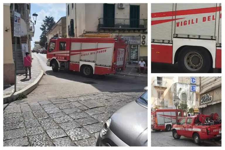 Operazione interforze per salvare un micio. VIDEO
