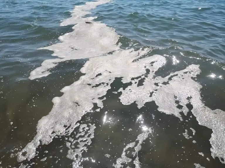 Schiuma bianca e mare marrone, il weekend clou è un disastro sul litorale. LE FOTO