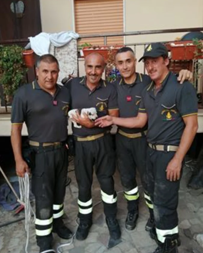 Cucciolo finisce nel tombino: arrivano i vigili del fuoco