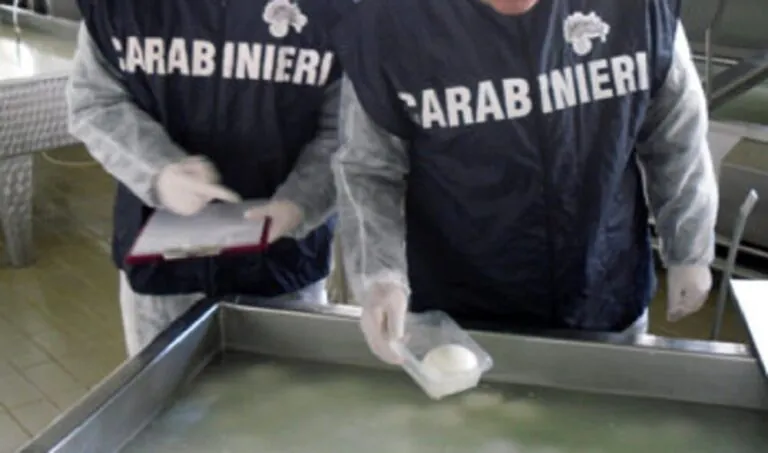Mozzarella “pezzotta”, operazione dei carabinieri: prodotti sequestrati