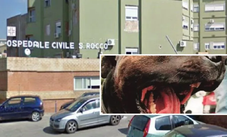 Azzannata al volto da un cane, 40enne finisce all’ospedale