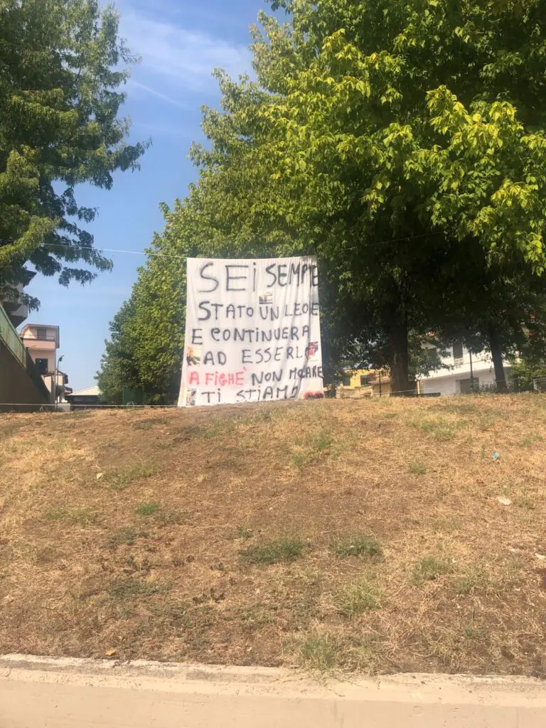 Il “leone” continua la sua lotta: Antonio si risveglia dal coma