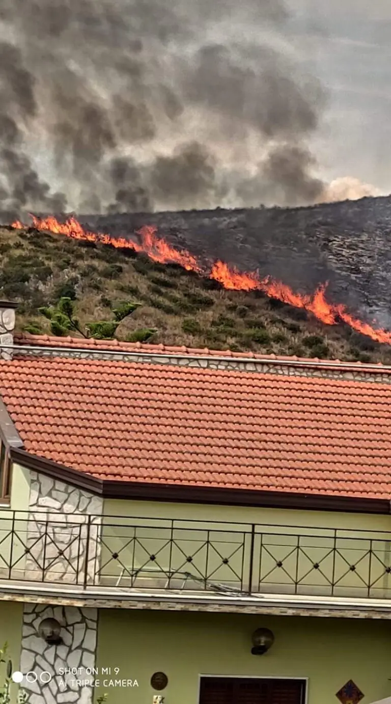 Fiamme a ridosso delle abitazioni: vigili del fuoco sul posto. VIDEO