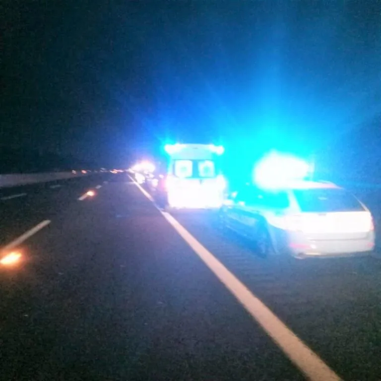 Camionista muore all’autogrill, tragedia in A1