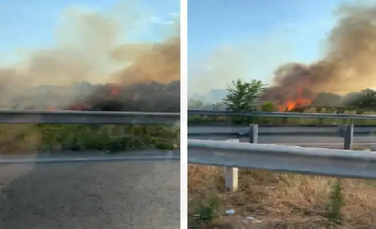 Divampa incendio, chiuso l’accesso all’autostrada. VIDEO