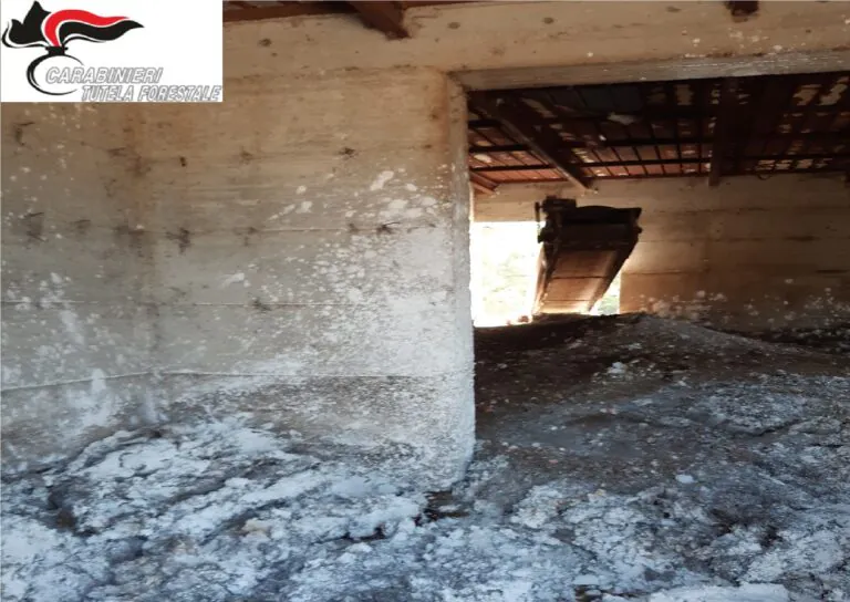 Sequestrato edificio adibito a allevamento avicolo, blitz dell’Arma