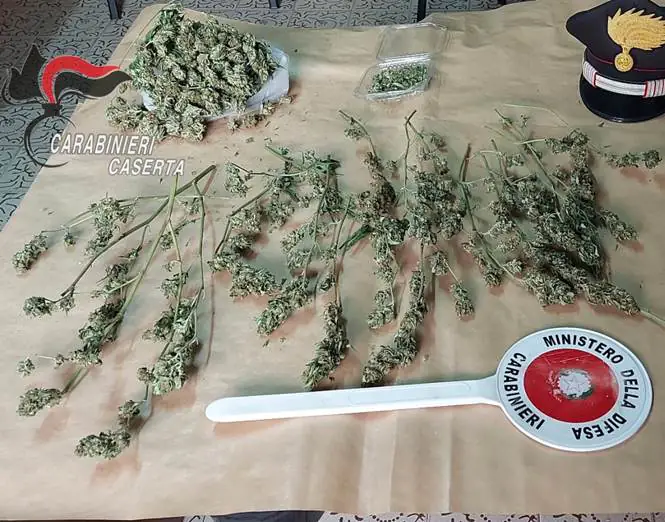 Fermato in strada, vanno a casa e trovano la droga. FOTO